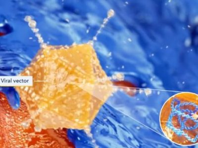 אדסטילדרין – מנגנון פעולה